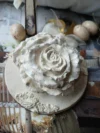 Rose 1