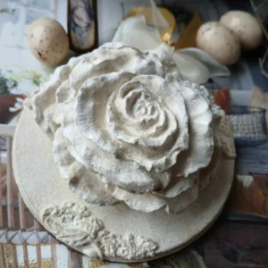 Rose 1