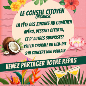 La fête des zinzins